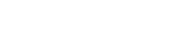 Selverra Inrernational Logo